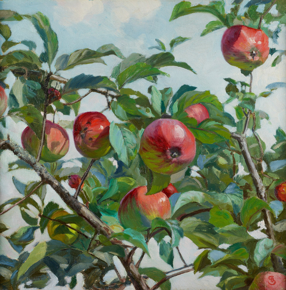 Apples by Ambroży Sabatowski