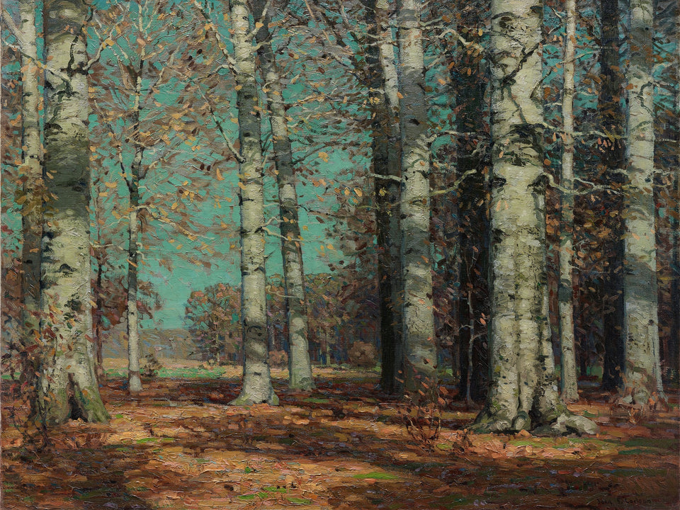 Autumn Beeches by John Fabian Carlson