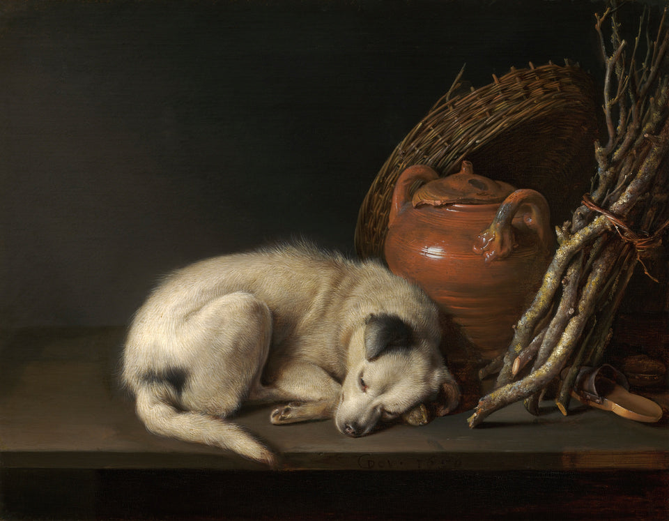 Dog at Rest by Gerrit Dou